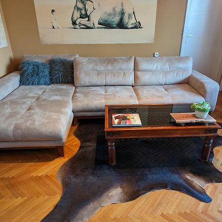Center, Private Garage, Danube & Fortress, 3 Bdrm 2 Bath Novi Sad Ngoại thất bức ảnh