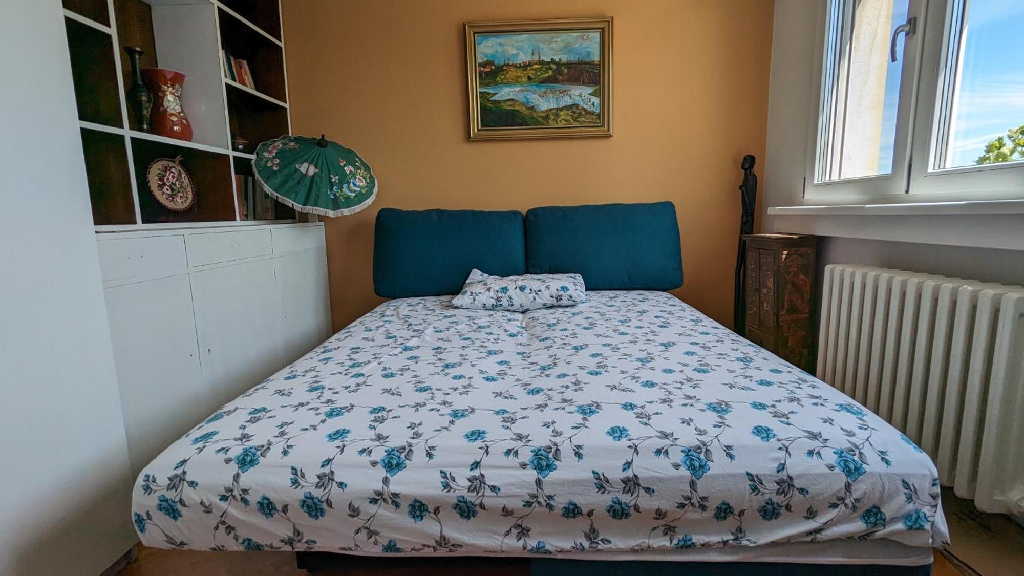 Center, Private Garage, Danube & Fortress, 3 Bdrm 2 Bath Novi Sad Ngoại thất bức ảnh